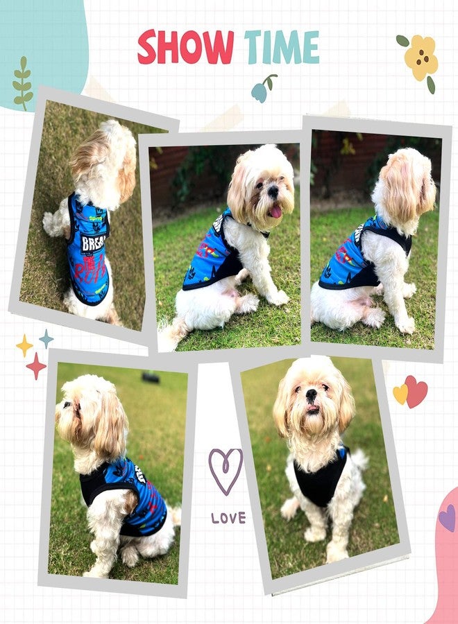 Lulala Pet Shirts Pet Printed Clothes with Funny Letters Summer Pet T Shirts Cool Puppy Shirts Breathable Pet Outfit Soft Pet Sweatshirt for Pet Pets Cats (Blue, 10 INCH) - Image 5